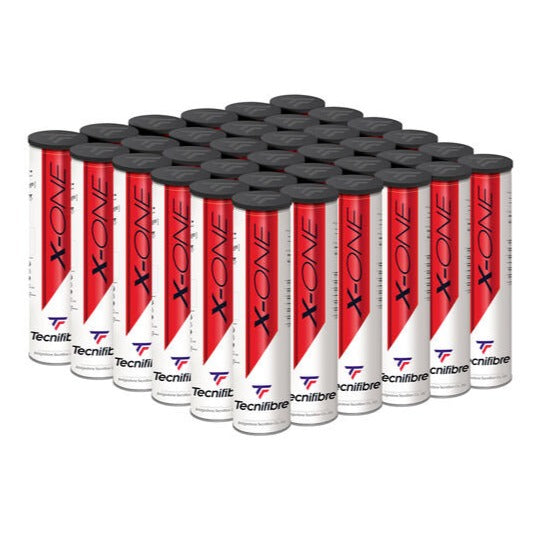 Tecnifibre X-One (18 Can Case)