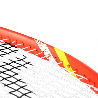 Tecnifibre TFight 300S IG